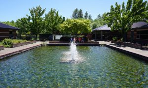 A view of Ashbrook School's courtyard and fountain